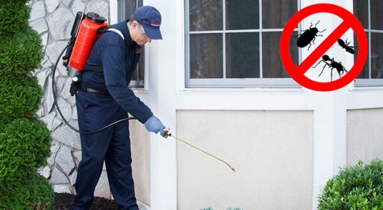 Serik Dezenfeksiyon böcek ilaçlama ve haşere kontrolü — ilaclama-tr.com